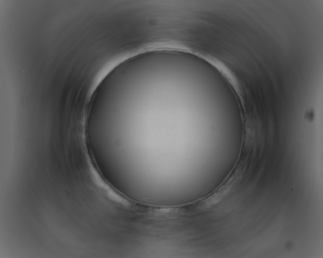 X0000092211390200710051128