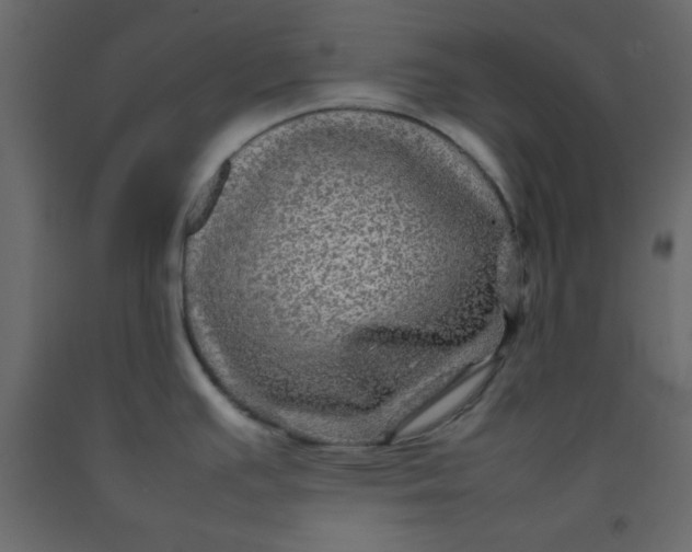 X0000092211391200710051128