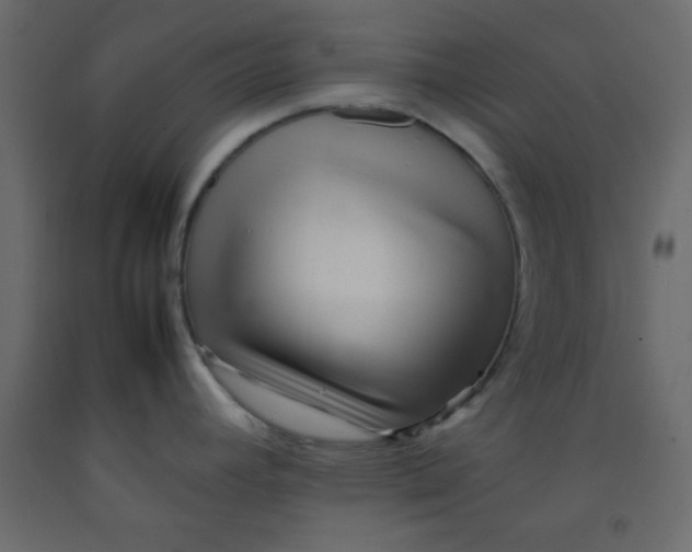 X0000092211392200710051128