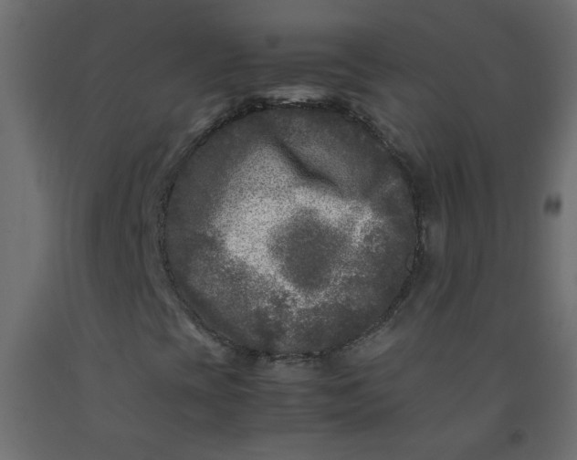 X0000092211393200710051127