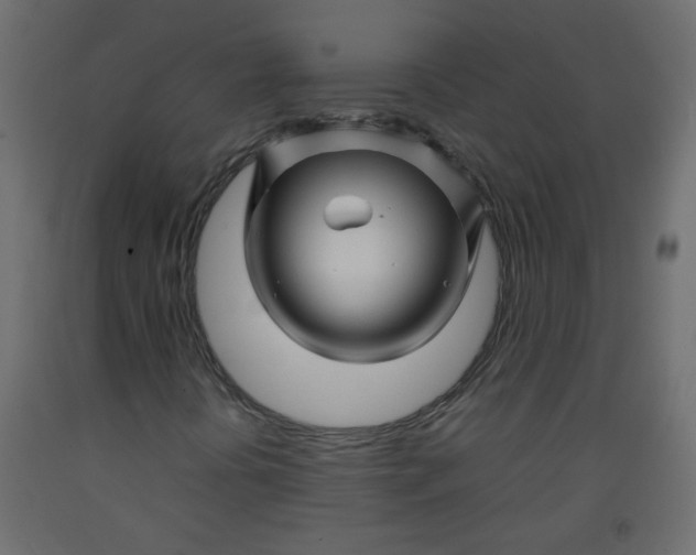 X0000092211394200710051127