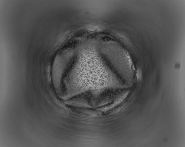 X0000092211396200710051127