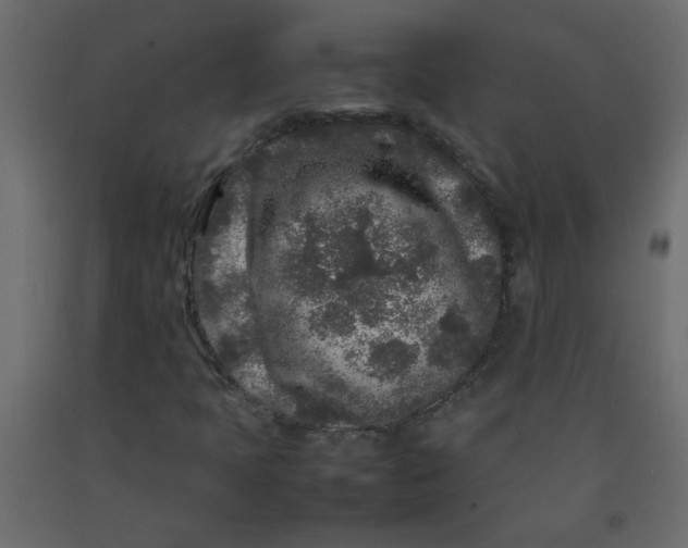 X0000092211397200710051127