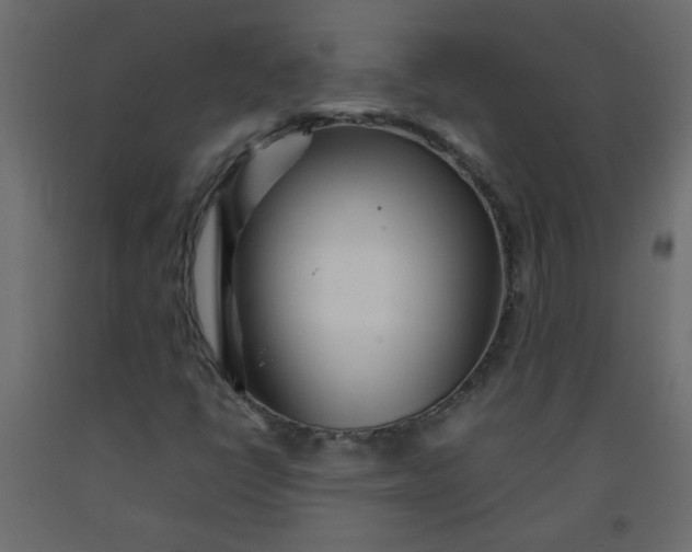 X0000092211398200710051127