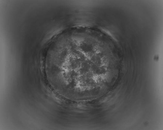 X0000092211399200710051127