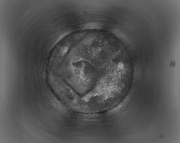 X0000092211401200710051127