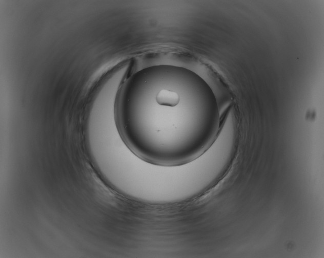 X0000092211402200710051127