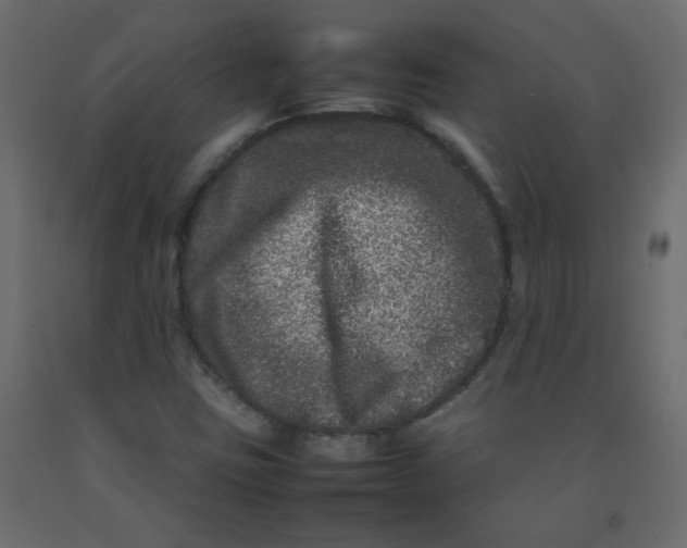 X0000092211403200710051127