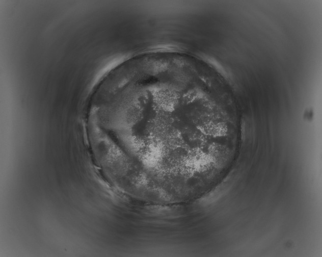 X0000092211405200710051127