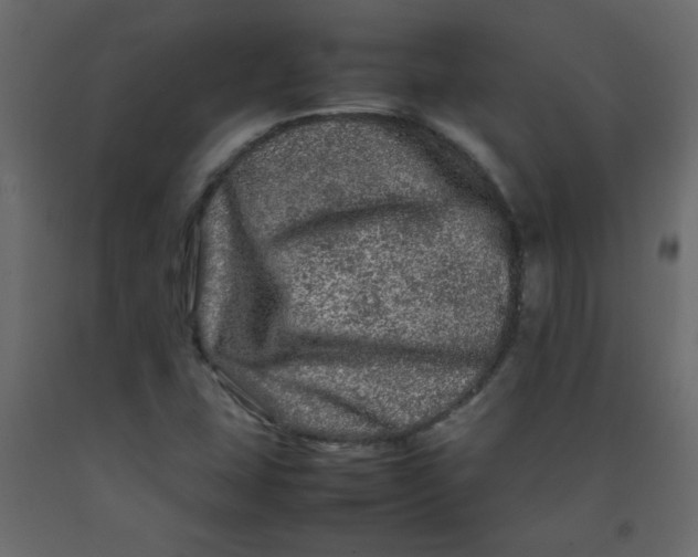 X0000092211407200710051127