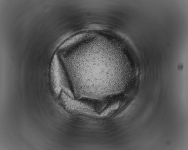 X0000092211409200710051127