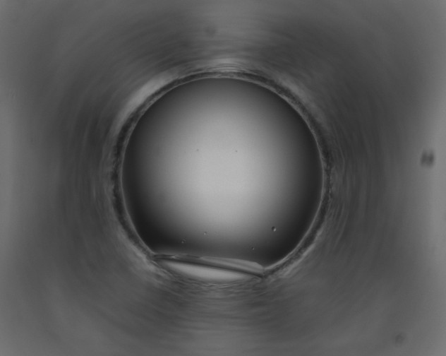 X0000092211410200710051127