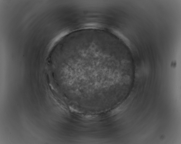 X0000092211411200710051127