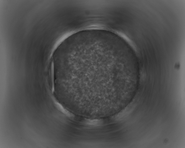 X0000092211413200710051127