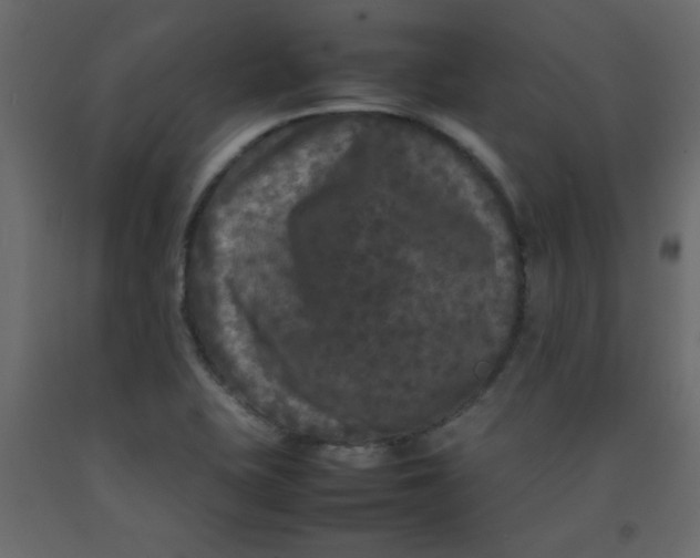 X0000092211415200710051127