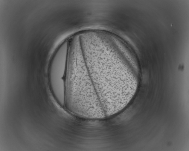 X0000092211416200710051127