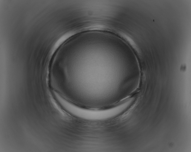 X0000092211418200710051127