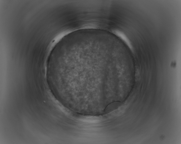 X0000092211419200710051127