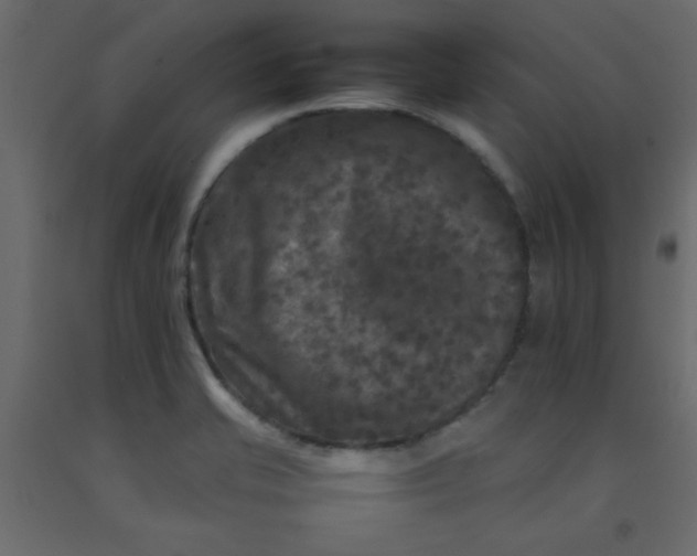 X0000092211421200710051127