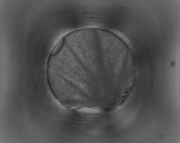 X0000092211423200710051127