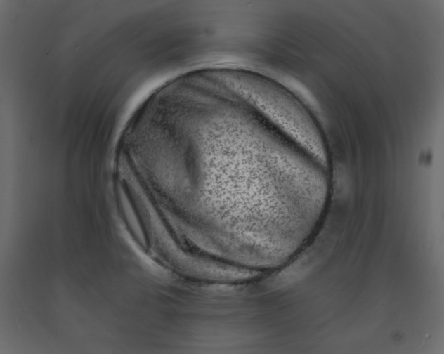 X0000092211424200710051127