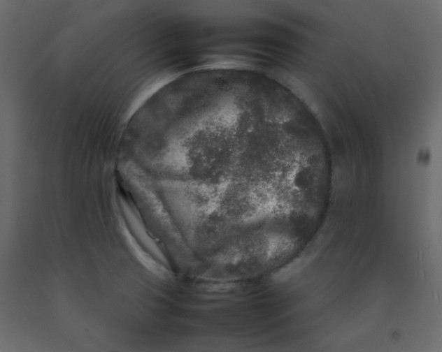 X0000092211425200710051127