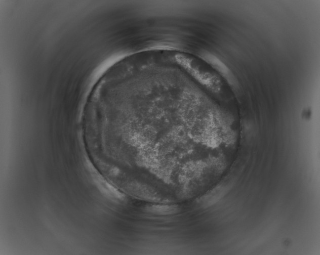 X0000092211427200710051127