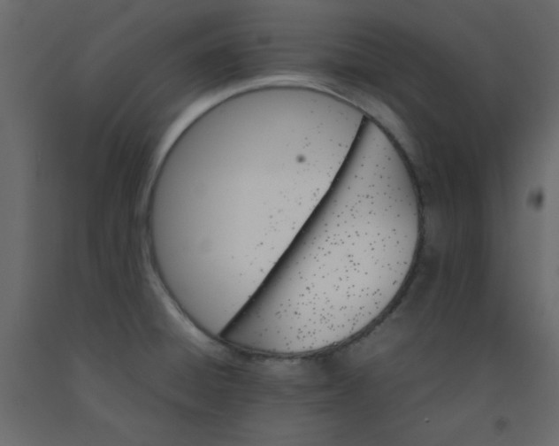 X0000092211428200710051127