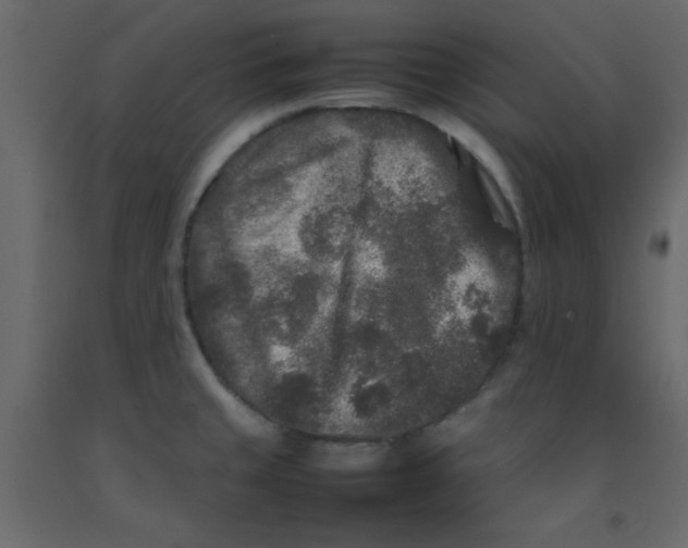 X0000092211429200710051127