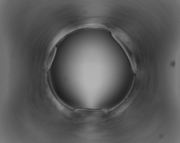 X0000092211430200710051127