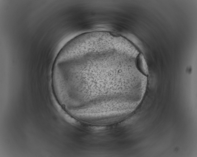 X0000092211431200710051127