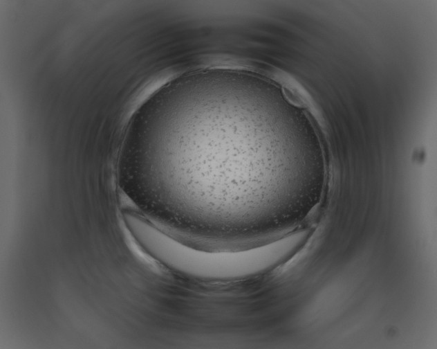 X0000092211433200710051127