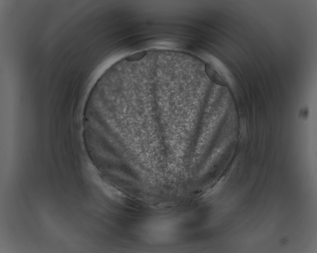 X0000092211435200710051127