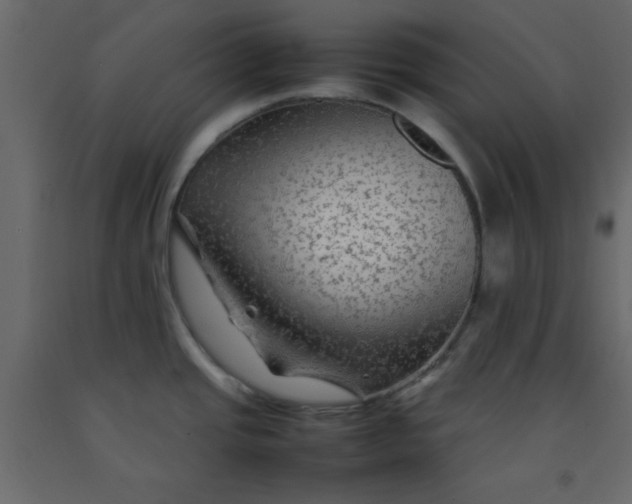 X0000092211437200710051127