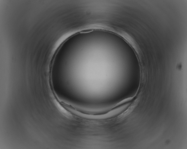 X0000092211438200710051128