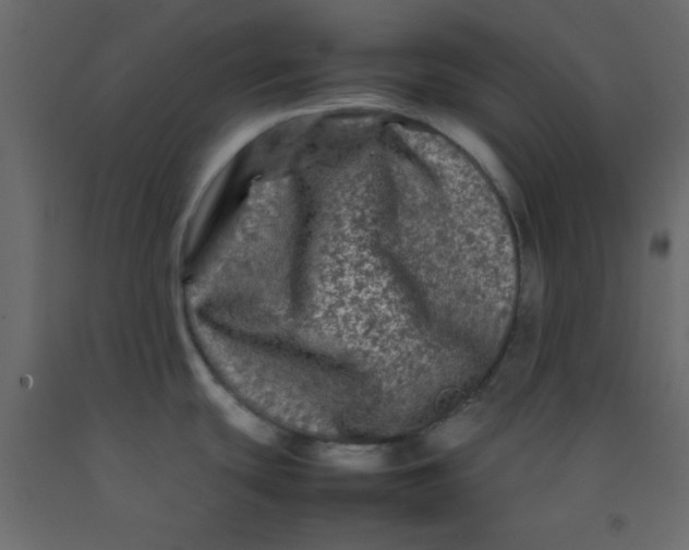 X0000092211439200710051128