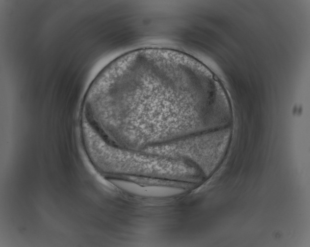 X0000092211440200710051128