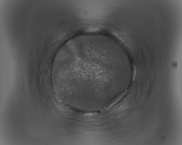 X0000092211441200710051127