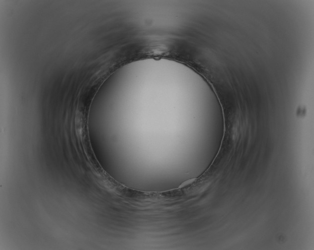 X0000092211442200710051127