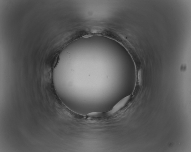 X0000092211443200710051127