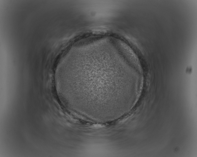 X0000092211445200710051127