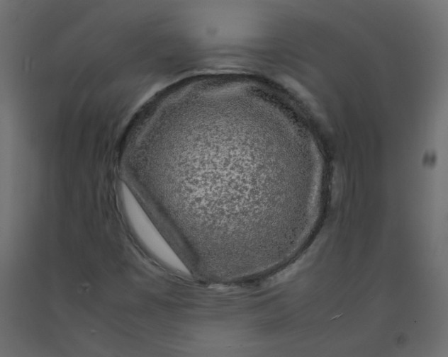 X0000092211449200710051127