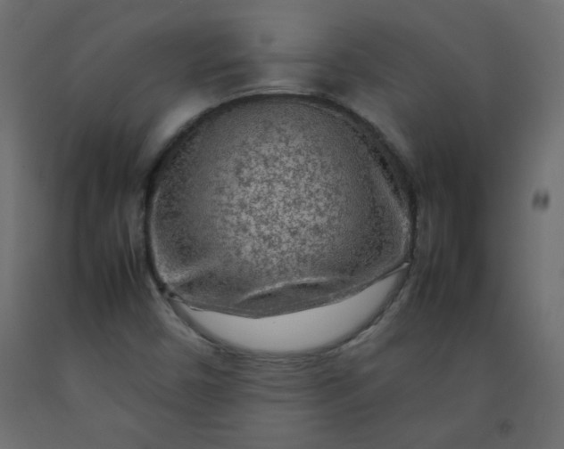 X0000092211450200710051127