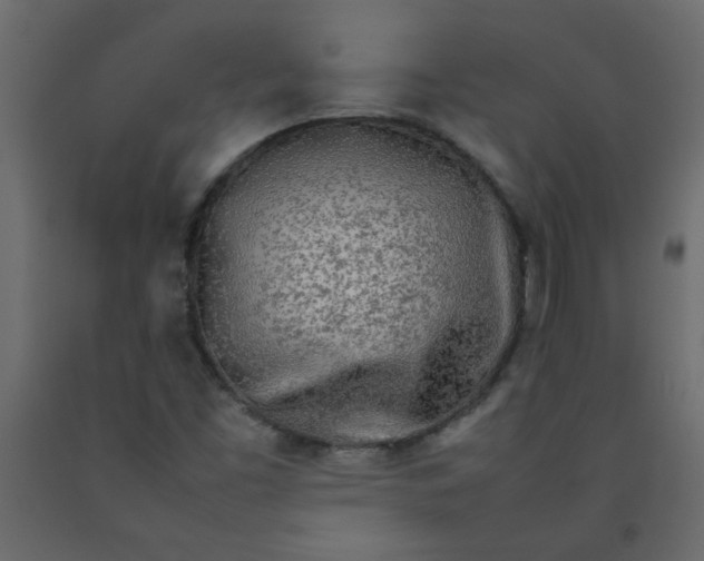 X0000092211453200710051127