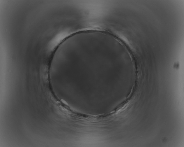 X0000092211455200710051127