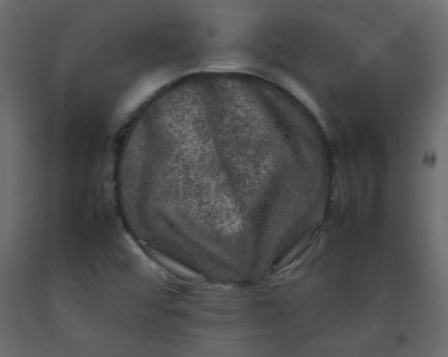 X0000092211456200710051127