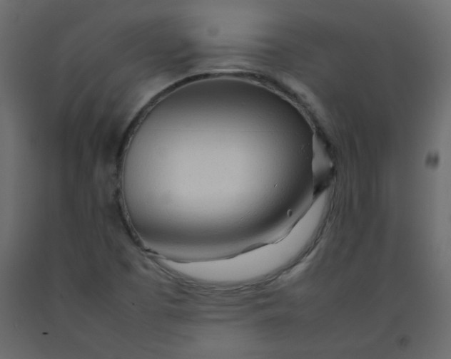 X0000092211457200710051127