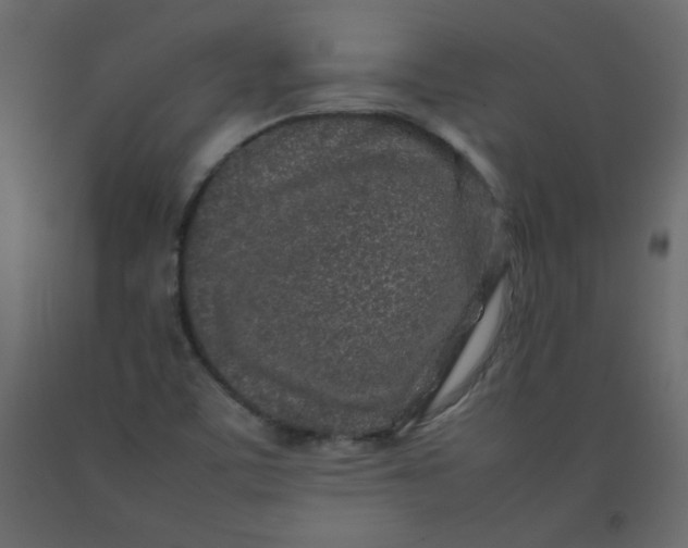 X0000092211459200710051126