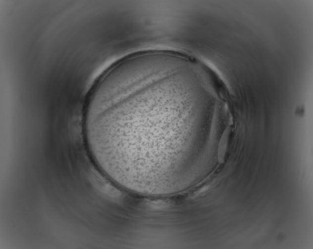 X0000092211460200710051126