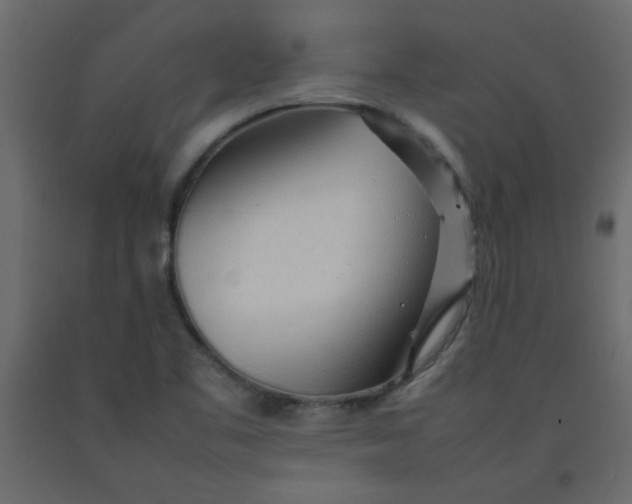 X0000092211461200710051126